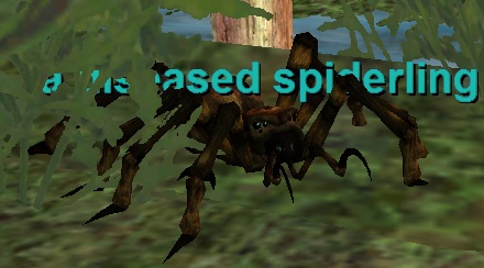 A diseased Spiderling